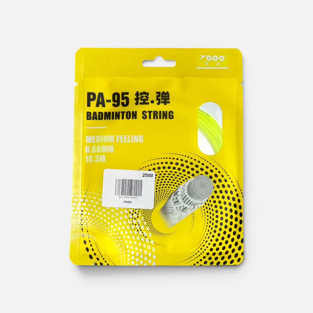 PA95