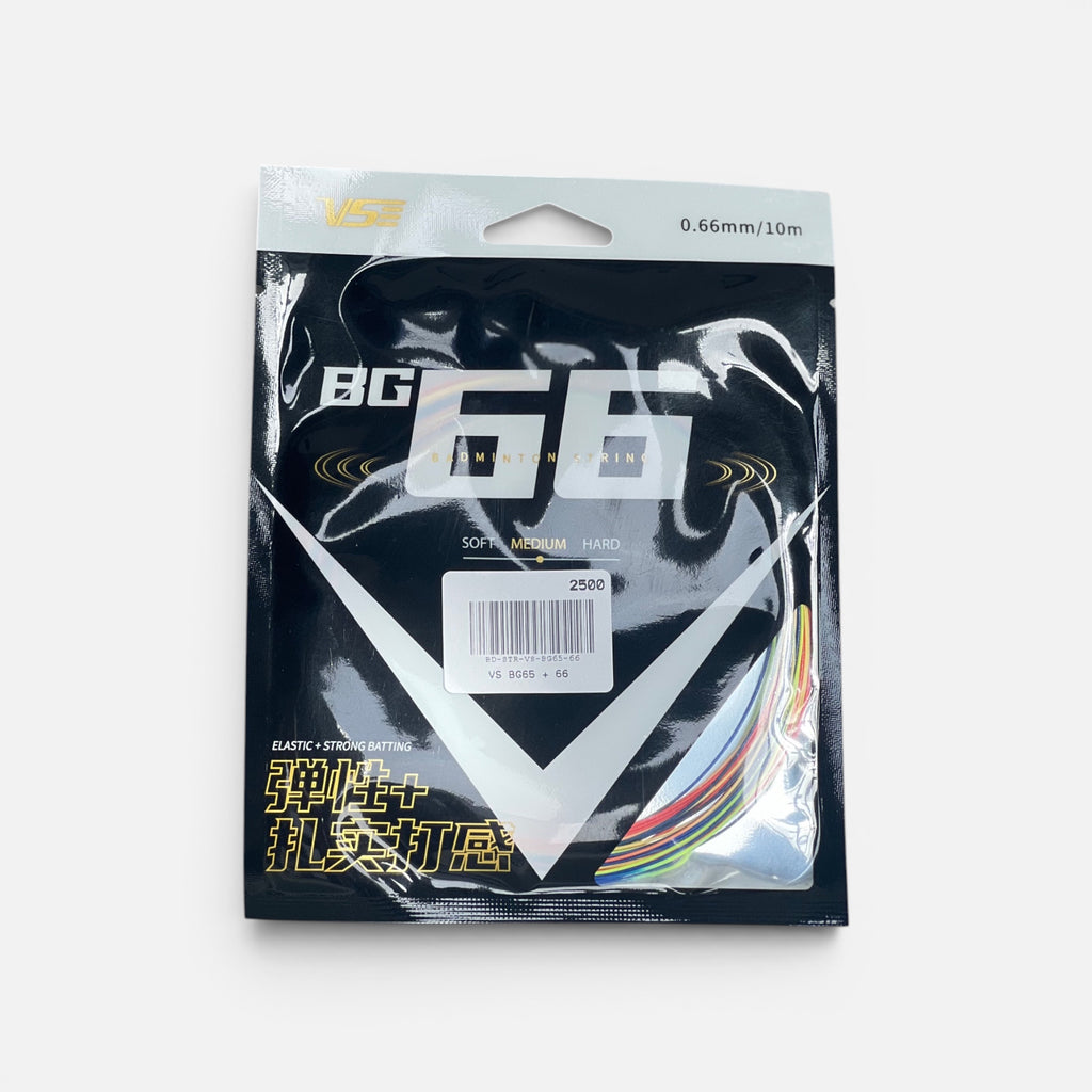 VS BG65 + 66