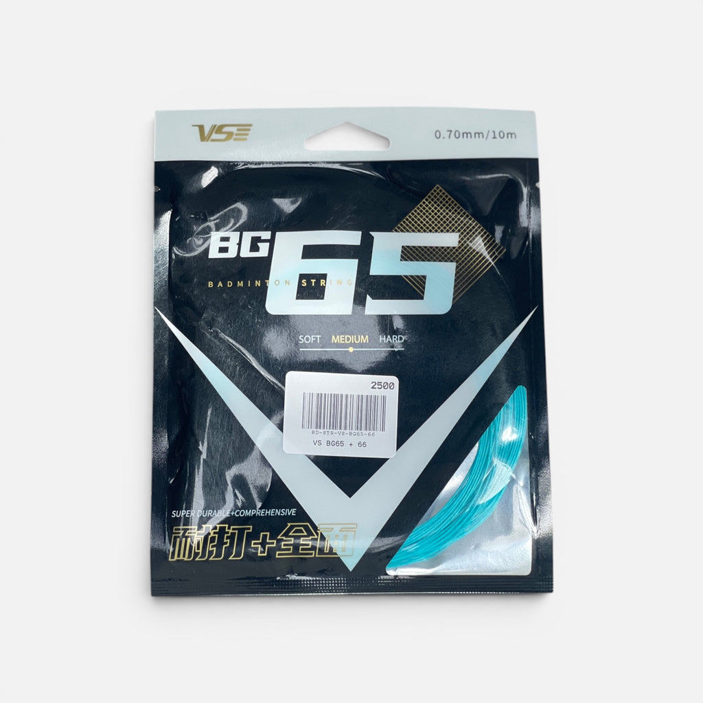 VS BG65 + 66