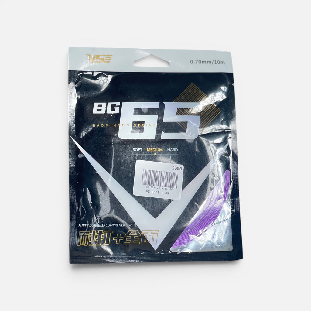 VS BG65 + 66