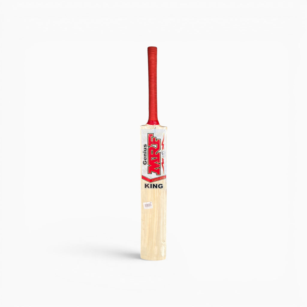 SS GM Kashmir willow cricket bat, view 1