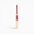 SS GM Kashmir willow cricket bat, view 1