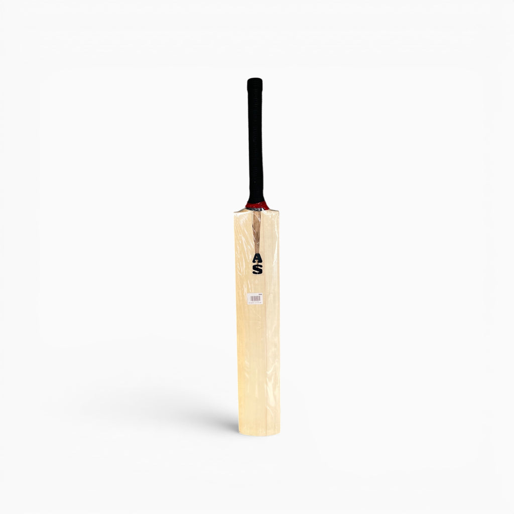 AS Kashmir willow cricket bat, view 3