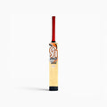 CA Vision 3000 tape ball cricket bat, view 1